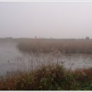 자인대물낚시 이미지