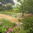 시청앞부동산공인중개사사무소 이미지