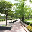 건아렌트카 이미지