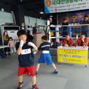 성산복싱체육관 이미지