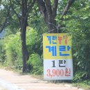 천진암로 이미지