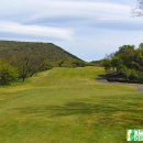 그린필드 컨트리클럽 이미지