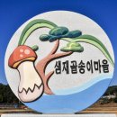 샘재골송이마을 이미지