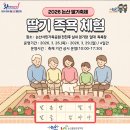 온빛 노동조합 | 2026 논산딸기축제 기본정보 가수 딸기족욕체험 논산 가볼만한곳 후기