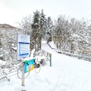 대관령농협주유소 이미지