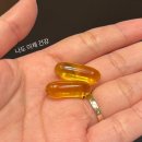 GR(영양군)-[중앙로]-하-1 | 25-12 둘째주 일상 <한터커플: 한중양꼬치: 조각도시 ott추천>