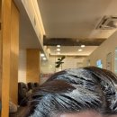 지에스25 하남시청역 | 하남시청역 미용실 르비반트 본점 화진실장님께 뿌염받은 내돈내산 후기