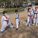 경희대 대영 태권도장 이미지