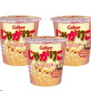 현-P | 일본 돗토리현 여행 / 돗토리대학 전공 연수