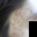 오렌지의원 이미지