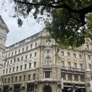 뉴욕버거상인점 | 부다페스트2-2 | 뉴욕카페, 그레이트 마켓홀 기념품...와인 ,파프리카가루, 마그넷)중앙역 맥도날드 후기!!