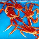 기장시장번영회 이미지