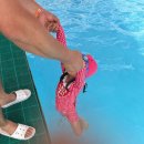 카페보란 | 아이와 원주핫플 : 취사가능 물놀이장 : 행복앤피크닉