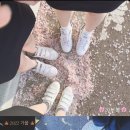 숭찌 이미지