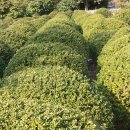 석전농장 이미지