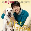 마음사랑동물병원 이미지