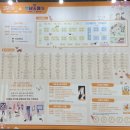 페따미꼬 이미지