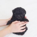 키즈멍 안양본점 이미지