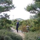 늘푸름농장 이미지