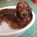 우리누리 이미지