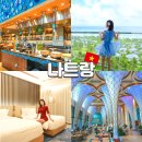 블루호텔 | 나트랑 깜란 풀빌라 리조트 래디슨블루 호텔 객실 조식 후기
