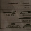 1장 헤어이론 (1)