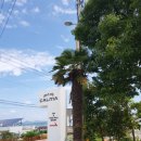 까르마 풀빌라 3 이미지