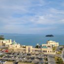 진도개패밀리 이미지