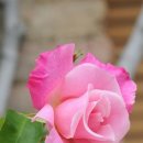 책놀이지도사자격증(초등) 이미지