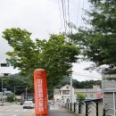 주)유성미트
