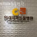 이레동물병원 | 성남 수내동 동물병원 이레외과동물병원 위치 오는길 후기