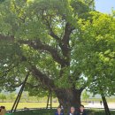 수도산 자연휴양림 이미지