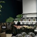 대가야꽃집 이미지