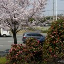 맥도생태공원 이미지