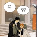 홍설