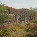 초막골 생태공원 이미지