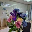 돈카츠모 | 2022. 10. 18.(화) ~ 10. 19.(수) 근남 성유식당 메뉴, 울진 소꼴 돼지갈비