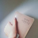 류박사 | 박사가 사랑한 수식 후기, 독후감