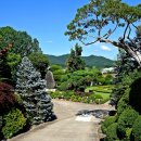 강풍경 파크 이미지