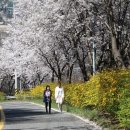 군산 꽁당보리축제, 도담삼봉 야경등 이미지