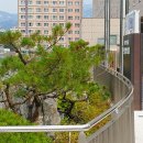 은평구경계 이미지