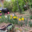 홍예민박 이미지