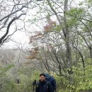 붉은오름자연휴양림 이미지