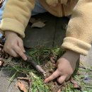 백운산자연휴양림 이미지