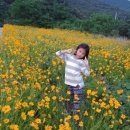 백아큰마을민박 이미지