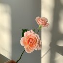 바인딩포인트