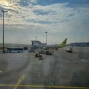 044 | 보홀 여행 보홀 팡라오 공항 공항세 납부 방법 진에어 출국 후기 LJ044