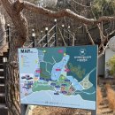 카스토리(CAR STORY) | 서울 근교 동물체험 끝판왕, 포천 '마이애니멀스토리 in 평강랜드' 후기🐮,데이트 코스 추천💖 애견동반여부