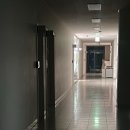 멍냥이 스토리 | 지구가 네모난 행성이 돼도 널 사랑해