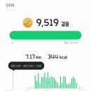 피자헛금천 이미지